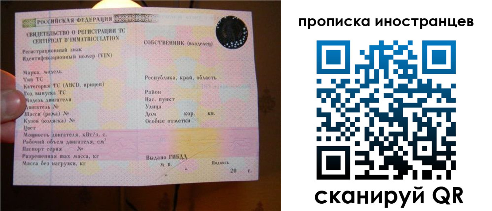 временная регистрация собственник в Курске