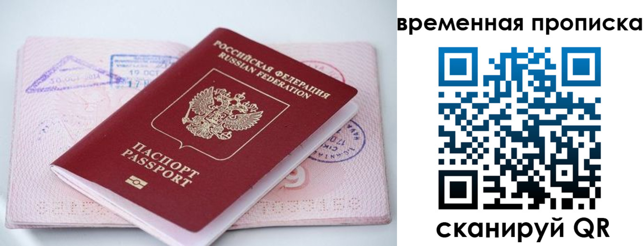 временная регистрация гарантия в Курске