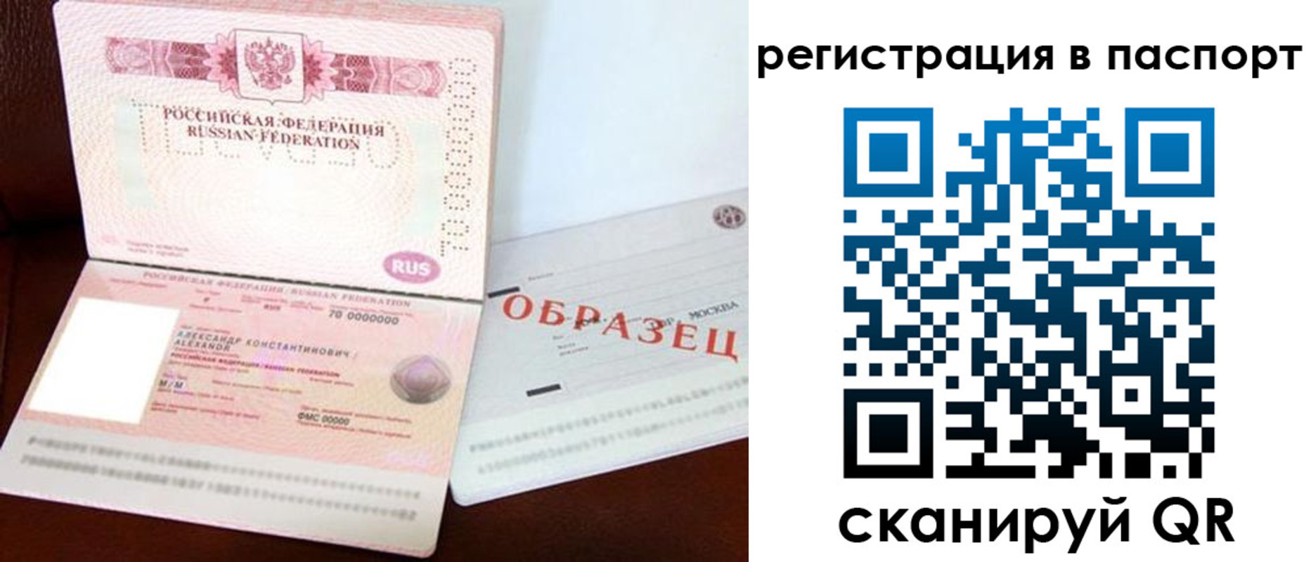 где прописаться в Курске